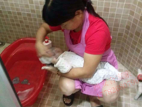 西安保姆價格 西安保姆價格